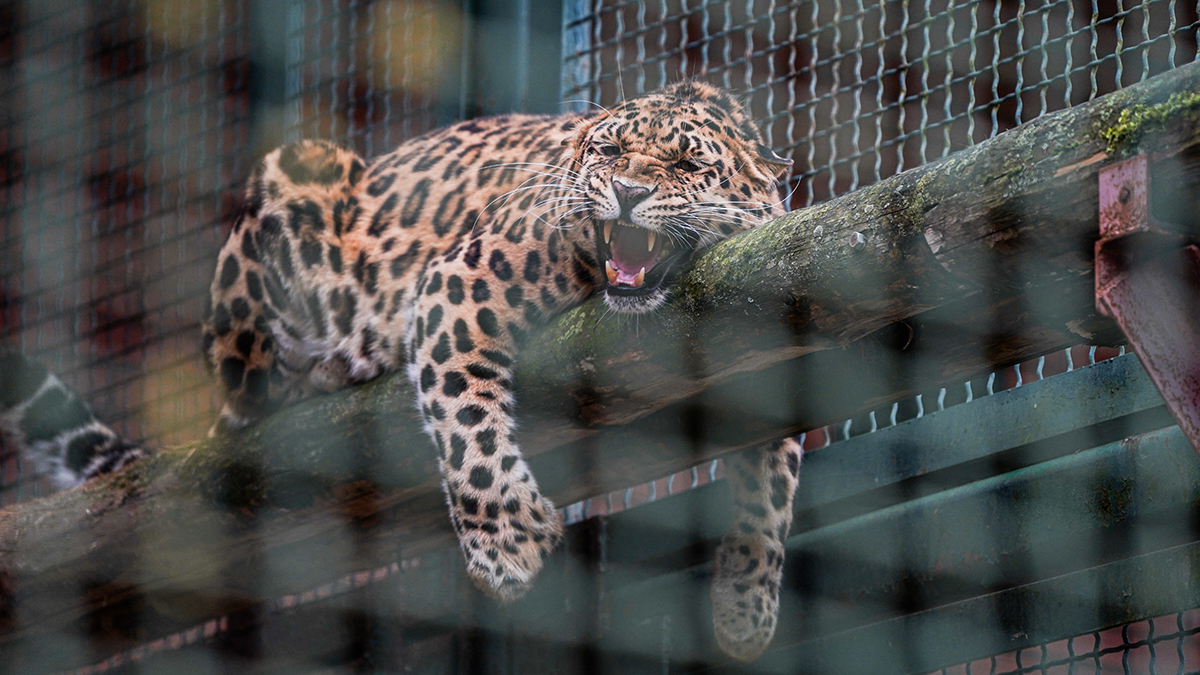 Праздники 8 апреля