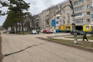 gai primorya rassleduet inczident s  4 i podrostkom v lesozavodske-lessontime-ru-174595903800-0