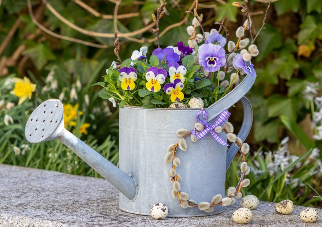 Аптечное чудо для сада: превращаем 5 рублей в пышное цветение