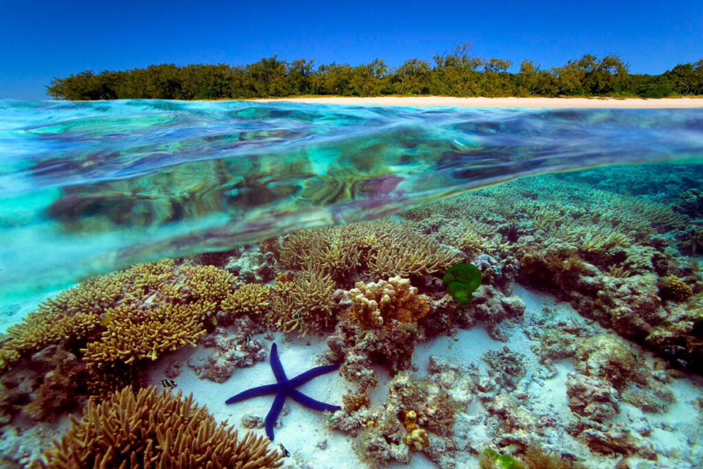 Большой Барьерный риф в Австралии