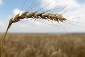 День Бориса и Глеба - наследие Владимира Святославовича 6 августа den borisa i gleba nasledie vladimira svyatoslavovicha 6 avgusta-lessontime-ru-174517670300-0