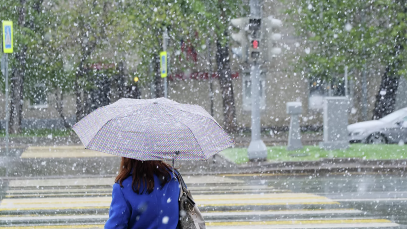 Вильфанд: на выходных в Москве ожидаются заморозки и мокрый снег