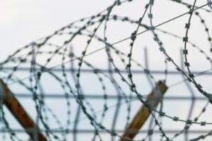 Илья Русяев прокомментировал перевод Радика Галиакберова в Мордовию ilya rusyaev prokommentiroval perevod radika galiakberova v mordoviyu-lessontime-ru-174568448000-0