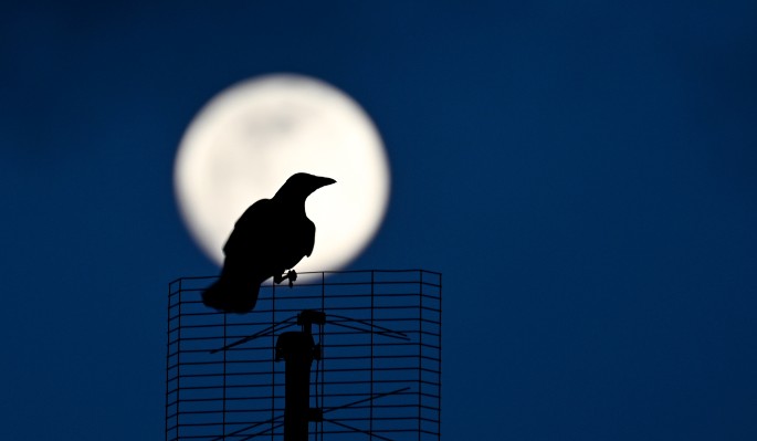 Гороскоп на 8 декабря 2022 года для всех знаков зодиака