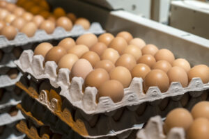 Как выбрать безопасные красители для яиц - советы Марьяны Джутовой и АО «Медицина» kak vybrat bezopasnye krasiteli dlya yaicz sovety maryany dzhutovoj i ao mediczina-lessontime-ru-174499595800-0