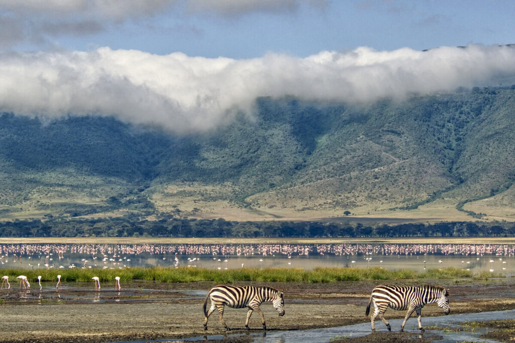 Кратер Нгоронгоро в Танзании