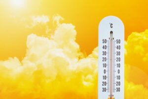 Оттавский университет и Kenny Mid открыли новые границы выносливости к жаре ottavskij universitet i otkryli novye graniczy vynoslivosti k zhare-lessontime-ru-174364141600-0