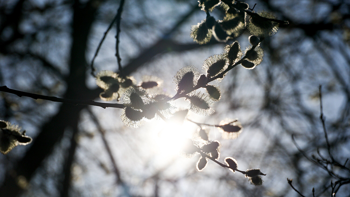 Погода в Москве 28 апреля