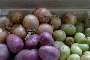 Сельхозсотрудничество России и Турции – прогноз эксперта РУДН Х. Белхароева selhozsotrudnichestvo rossii i turczii prognoz eksperta rudn h belharoeva-lessontime-ru-174469999000-0