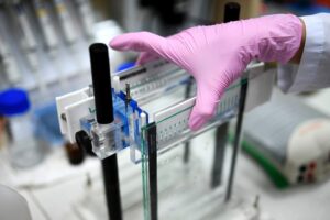 sledstvennyj komitet krasnoyarskogo kraya nashel vazhnye uliki v dele o semejnoj tragedii-lessontime-ru-172765512500-0