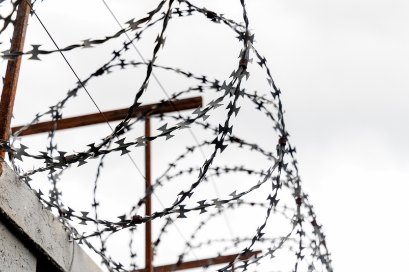 Фото: primamedia.ru