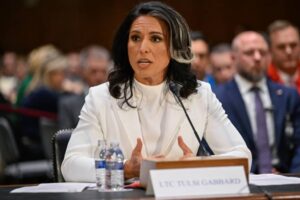 Trump Cabinet Gabbard. Tulsi Gabbard