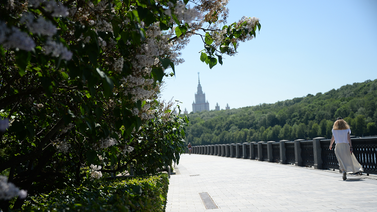 Гидрометцентр предупредил об аномальной жаре в московском регионе в ближайшие дни