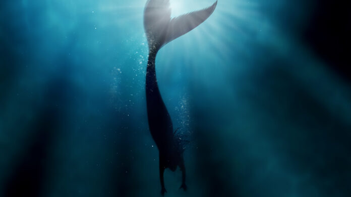 Mermaid,,Water,And,Sea,With,Silhouette,Underwater,For,Aqua,,Fish