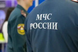Герои ГУ МЧС в Феодосии спасли кота и его смелую спасительницу geroi gu mchs v feodosii spasli kota i ego smeluyu spasitelniczu-lessontime-ru-174766261000-0