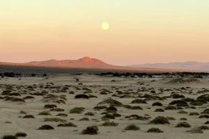 Монголия и Китай начинают новую эру в зеленой энергетике пустыни Гоби mongoliya i kitaj nachinayut novuyu eru v zelenoj energetike pustyni gobi-lessontime-ru-174774211900-0