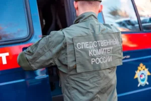 aleksandr bastrykin poruchil izuchit hod rassledovaniya po delu v dalnerechenske-lessontime-ru-174767191400-0