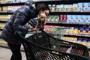 ЦМАКП и Росстат обсуждают поддержку россиян в условиях инфляции czmakp i rosstat obsuzhdayut podderzhku rossiyan v usloviyah inflyaczii-lessontime-ru-174862671500-0