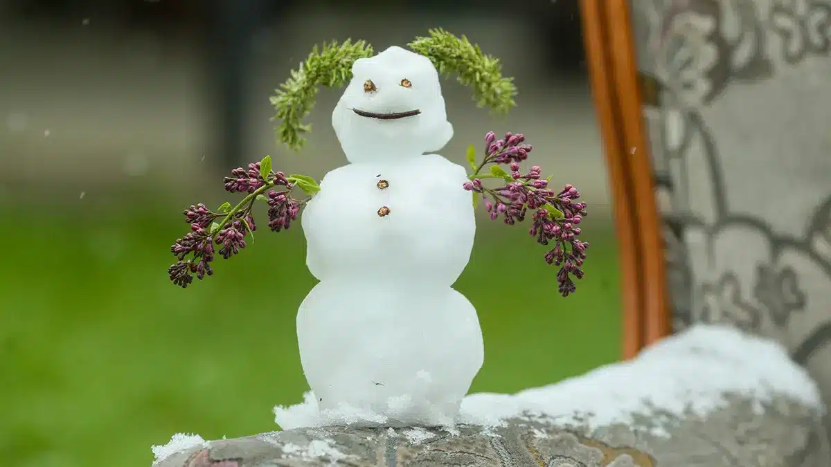 Какой будет погода в мае 2025 в Москве