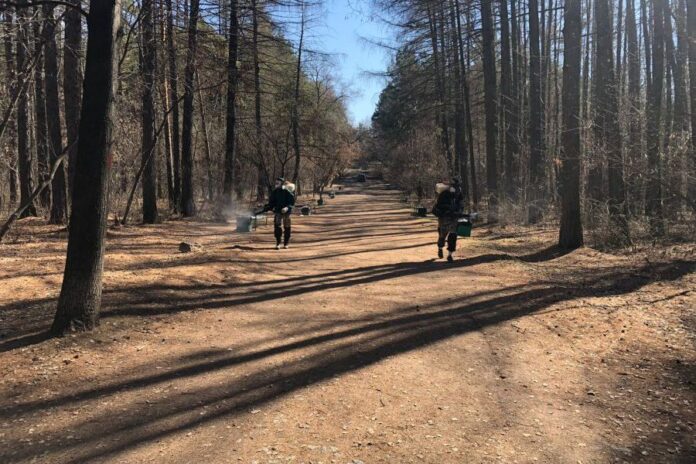 Денис Мамонтов сообщил о обработке парков Среднего Урала от клещей-0