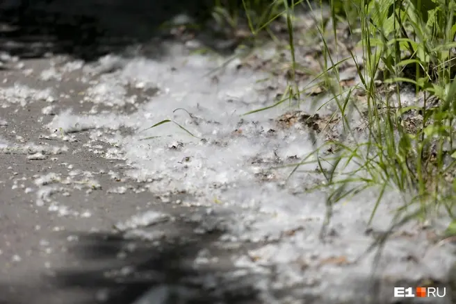 Москву уже начинает «заметать» | Источник: Владислав Лоншаков / E1.RU