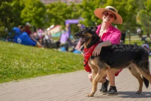 festival lapki ot  sobral 40 tysyach gostej s uchastiem antohi ms i zvezd-lessontime-ru-174832798100-0
