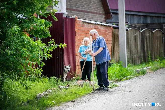 Штраф за спил деревьев может обойтись нарушителю в 100 тысяч рублей | Источник: Ксения Филимонова / IRCITY.RU