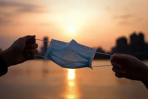 Вирус птичьего гриппа активно распространяется среди домашних кошек