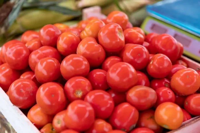 primore i rosselhoznadzor zashhitili agrariev ostanoviv 16 tonn tomatov iz kitaya-lessontime-ru-174836381700-0