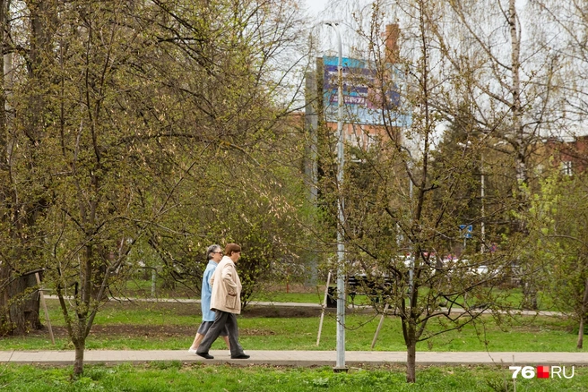 Погода на майские праздники | Источник: Кирилл Поверинов / 76.RU