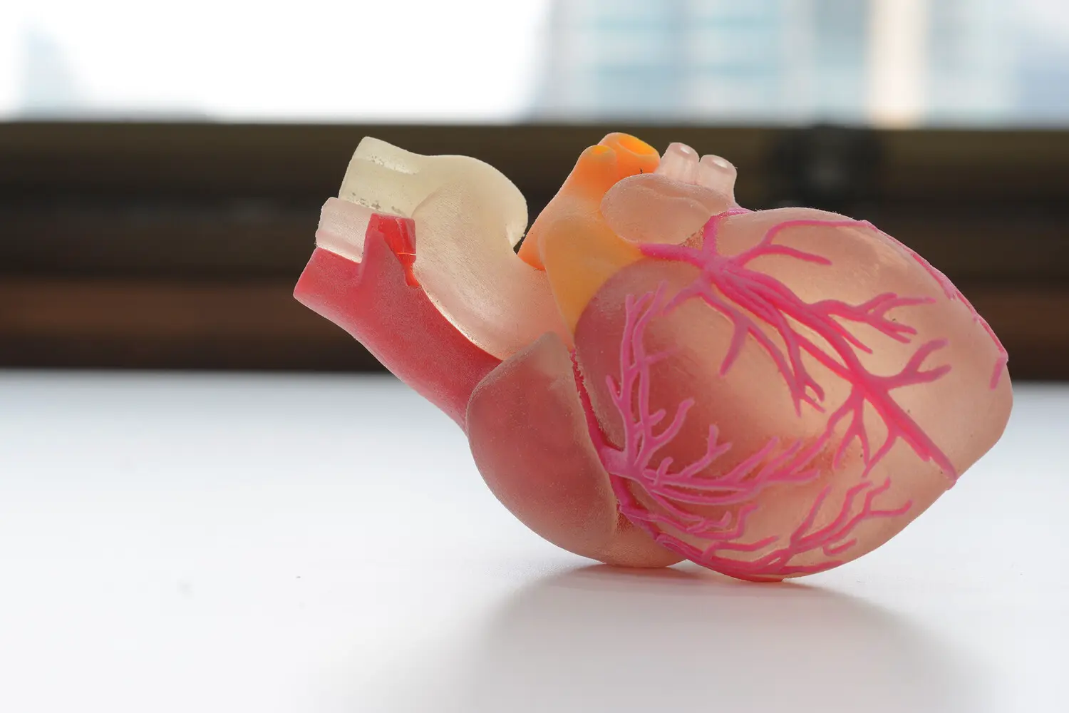 Прорыв Пола Танга в области защиты донорских сердец при трансплантации-0