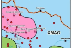 Прорыв в нефтедобыче Ямало-Ненецкого округа от ИНГГ СО РАН и будущие перспективы баженовской свиты proryv v neftedobyche yamaloneneczkogo okruga ot ingg so ran i budushhie perspektivy bazhenovskoj svity-lessontime-ru-174861123400-0