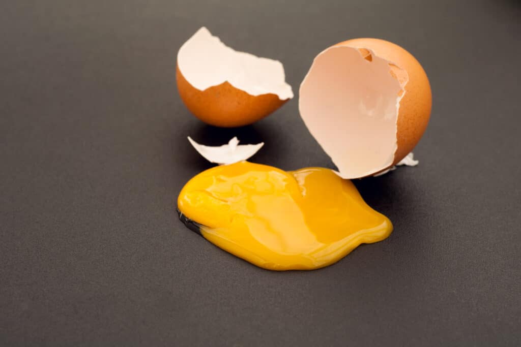 Разбитое яйцо на ковре