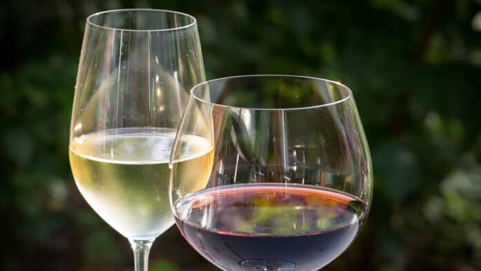 roskachestvo i eksperty delyatsya sovetami o kachestve vina ot minzdrava-lessontime-ru-174663018000-0