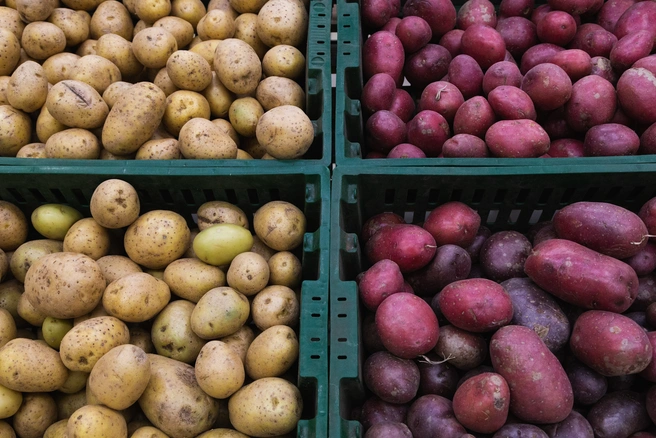 Картошка на любой вкус и цену | Источник: Екатерина Тычинина / 74.RU