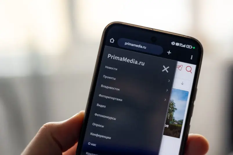 Сайт Primamedia Илья Аверьянов, ИА PrimaMedia.ru