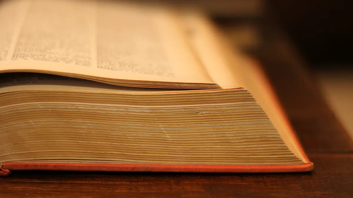 Какие современные слова раздражают россиян