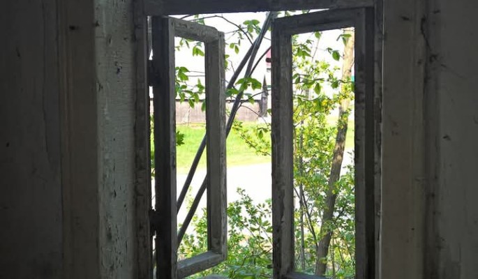 Девочка с лебедем, или тайна старого дома