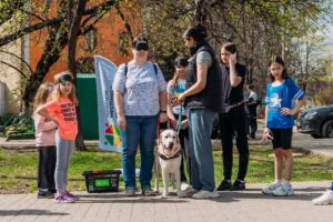 Пятерочка и Мудрый пес проведут 120 мероприятий для животных в центрах pyaterochka i mudryj pes provedut 120 meropriyatij dlya zhivotnyh v czentrah-lessontime-ru-174652835700-0