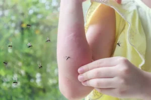 vrach olga ulankina iz gemotesta obyasnyaet opasnosti lihoradki chikungunya na shrilanke i sposoby zashhity-lessontime-ru-174833820300-0