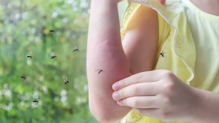 vrach olga ulankina iz gemotesta obyasnyaet opasnosti lihoradki chikungunya na shrilanke i sposoby zashhity-lessontime-ru-174833820300-0