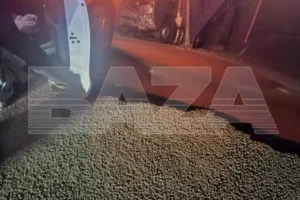 Александр Богомаз и МЧС оперативно реагируют на ЧП с РЖД в Брянской области aleksandr bogomaz i mchs operativno reagiruyut na chp s rzhd v bryanskoj oblasti-lessontime-ru-174874223100-0