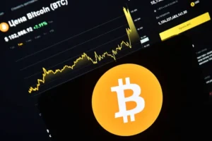 bitkojn i czentrobank obedinyayut usiliya dlya razvitiya finansovyh innovaczij-lessontime-ru-174887535400-0
