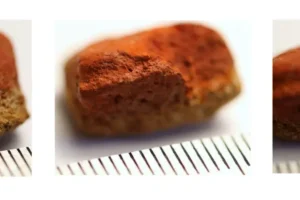 institut istorii materialnoj kultury ran obnaruzhil neandertalskuyu ohru na chelyuskinecz -lessontime-ru-0