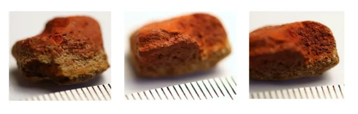 institut istorii materialnoj kultury ran obnaruzhil neandertalskuyu ohru na chelyuskinecz -lessontime-ru-0