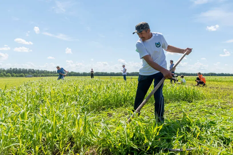 Как Андрей Кучеров и Руспродсоюз оценивают перспективы агробизнеса в России-0
