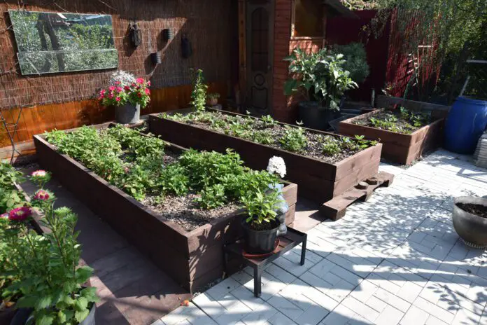 Михаил Карпухин делится секретами успешного июня в Уральском государственном аграрном университете-0