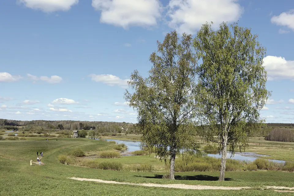 Просторы за околицей деревеньки Михайловское.