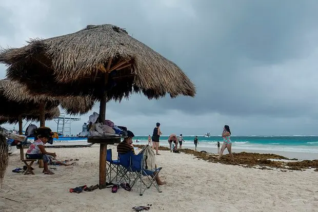 Вводная картинка