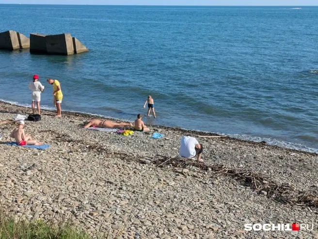 Дикую часть берега очищают от веток после штормов не сразу | Источник: Оксана Витязь / SOCHI1.RU